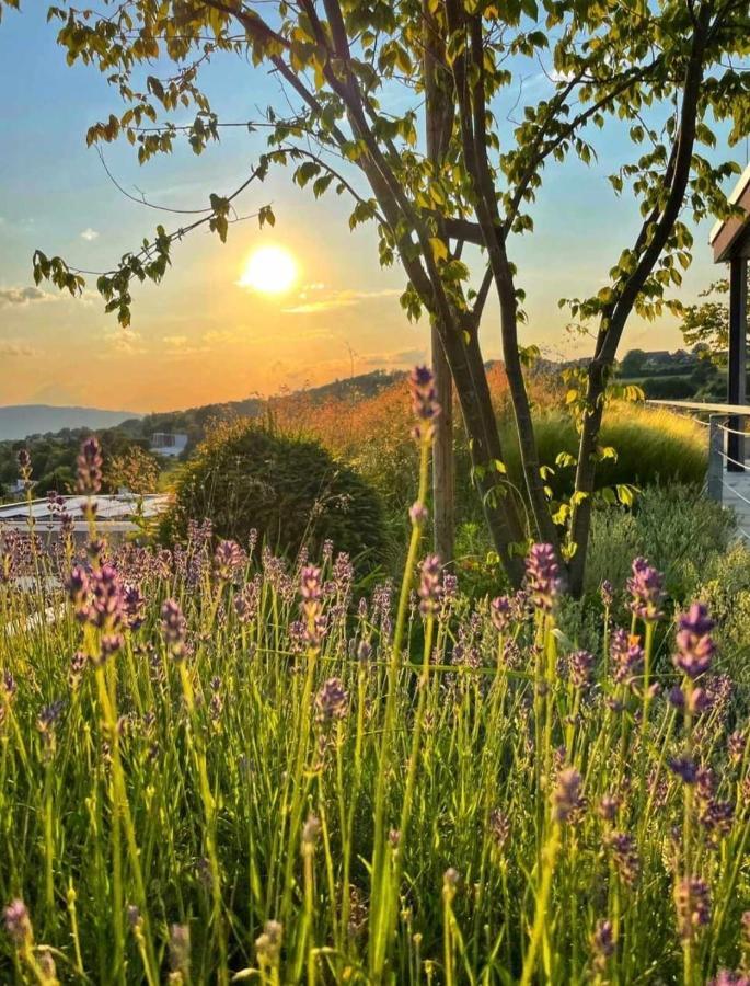 Haus Friedel 2 Διαμέρισμα Uberlingen Εξωτερικό φωτογραφία